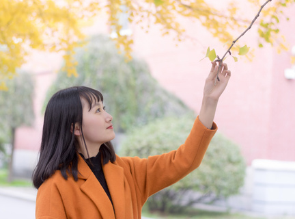 菲律宾科技大学百度百科